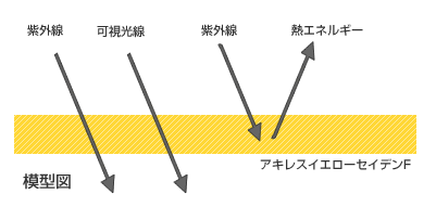 模型図